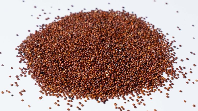 Quinoa Red