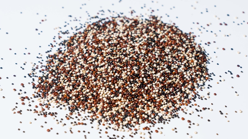 Quinoa Tricolor