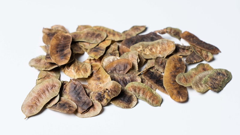 Cassia Senna