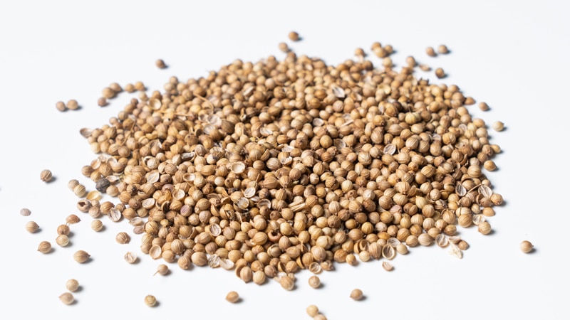 Coriander