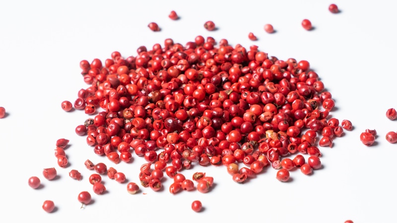 Red Pepper