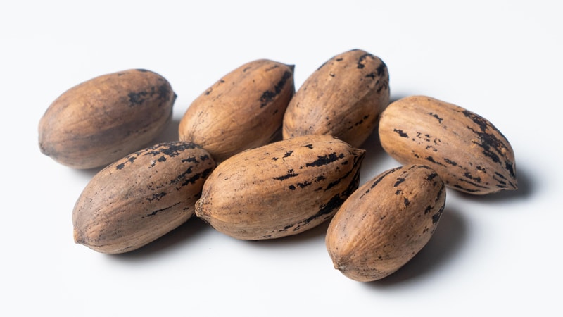 Pecans In Shell