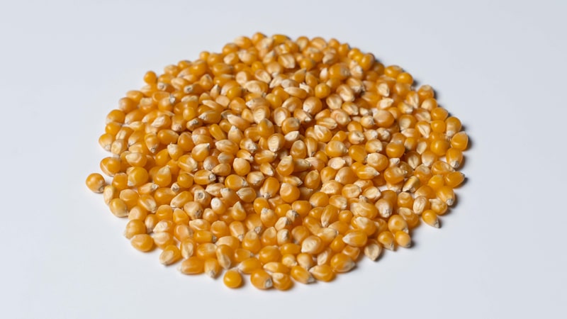Pop Corn (Pop Up)