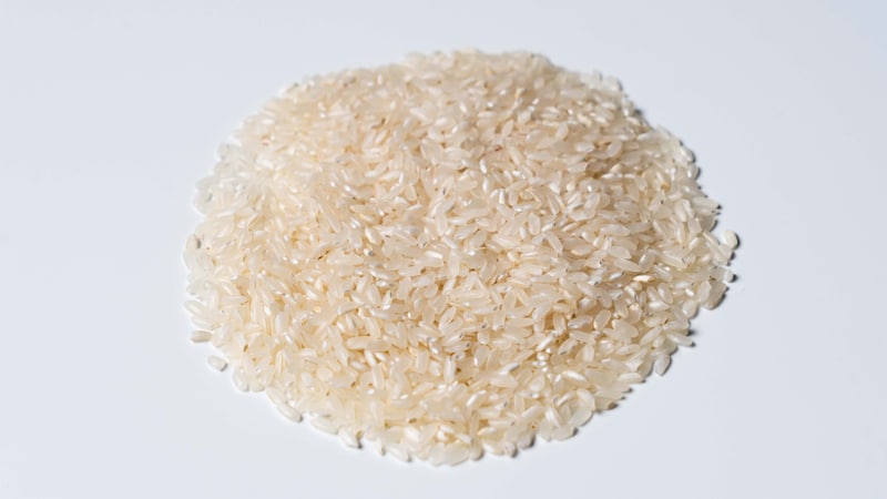 Rice Karolina