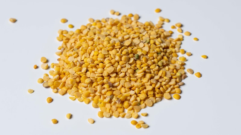 Yellow Fava