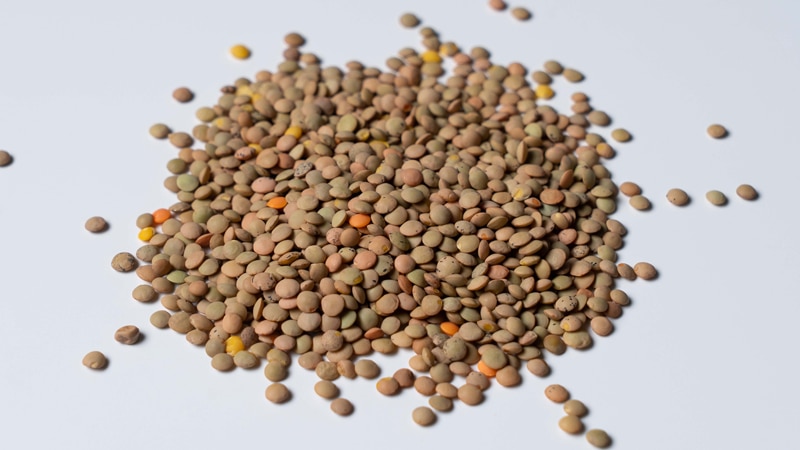 Lentils (Cyprus)