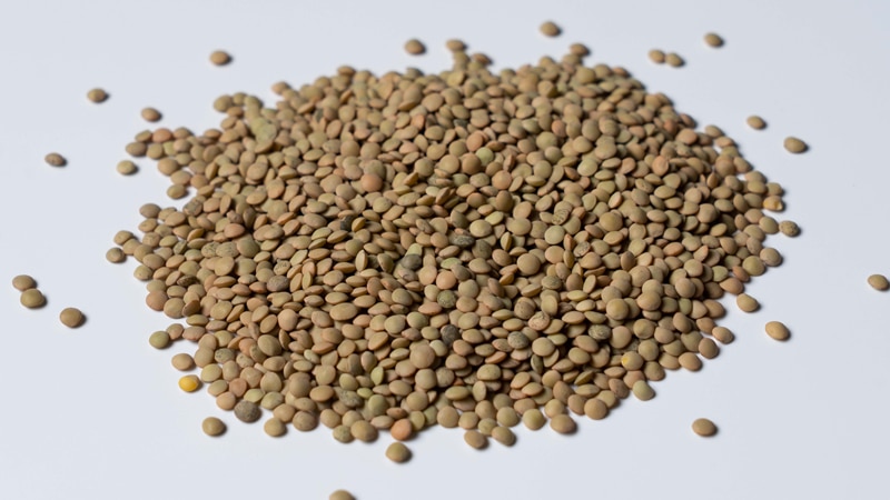 Lentils (Import)